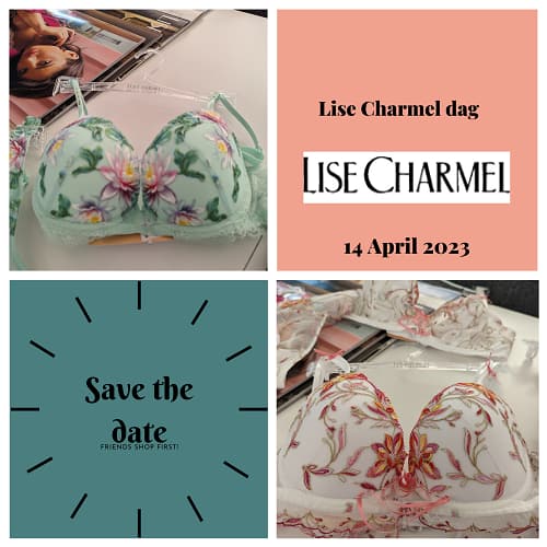 Roze en Blauw 21e Verjaardag Uitnodigingk